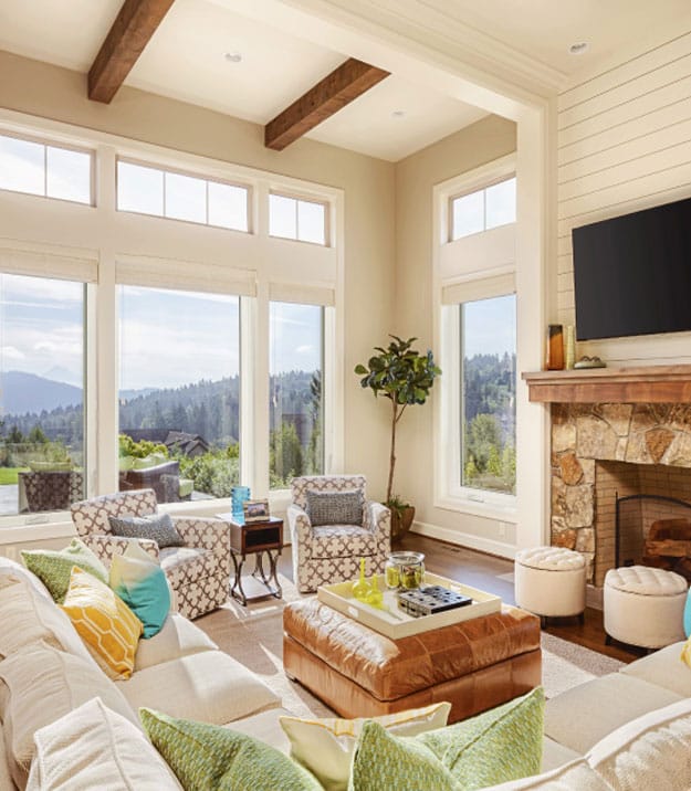 Provia aspect windows