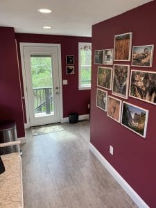 Remodeled hallway - general contractors pelham nh
